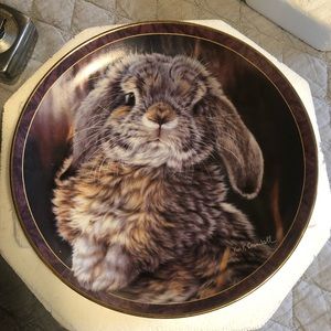 Set of 3 Bradford Exchange Bunny plates with fames